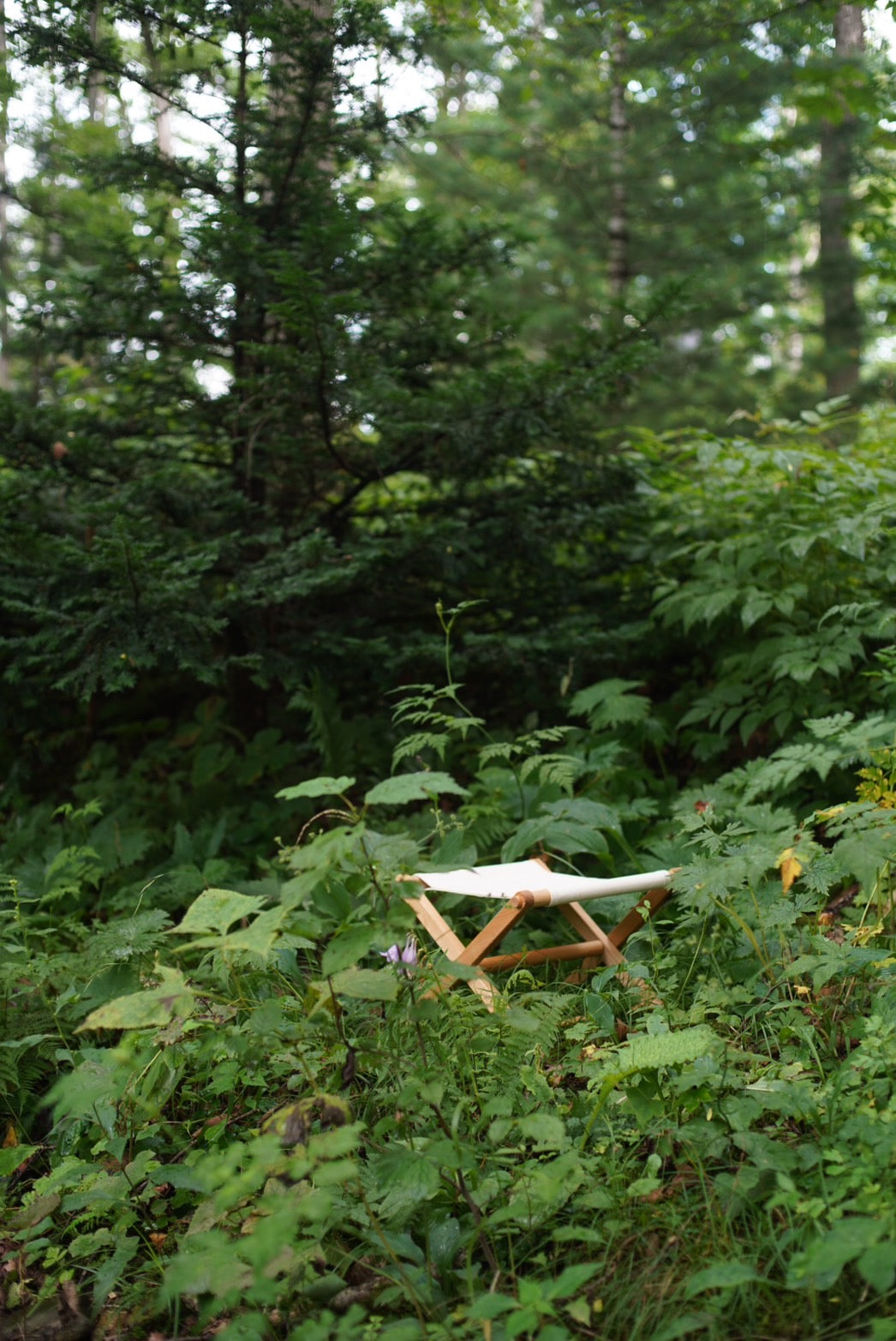 wildingout ottoman1979